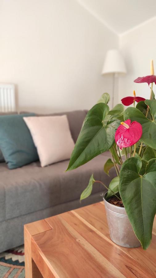Ferienwohnung Eule Parcines Ngoại thất bức ảnh